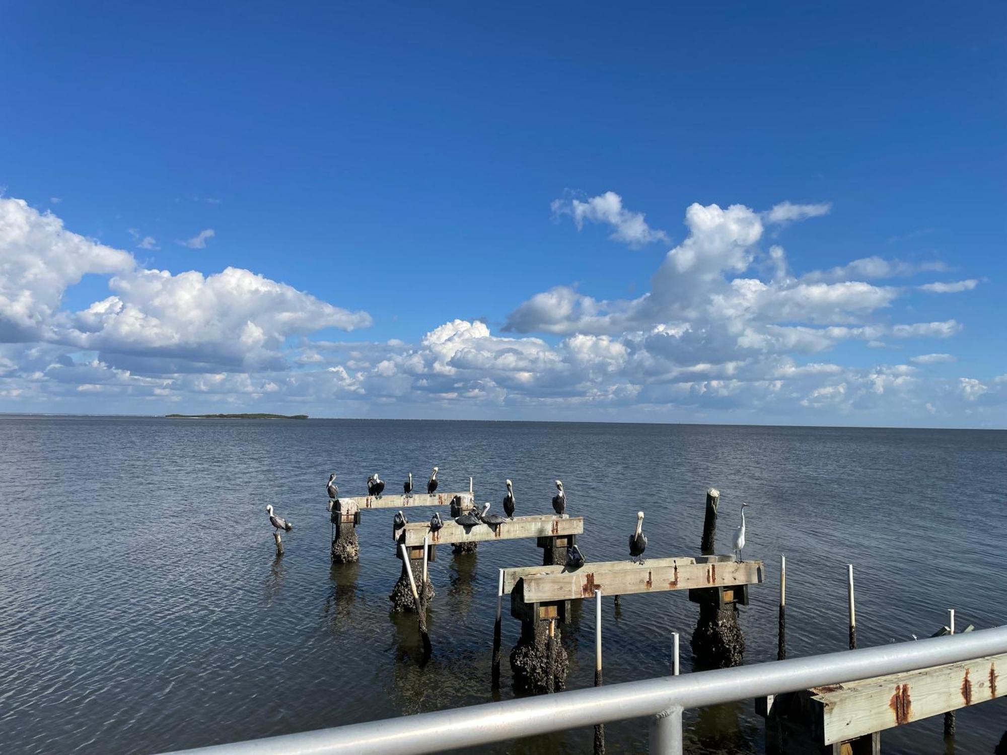 Cedar Key Florida Condo At Park Place Exterior foto